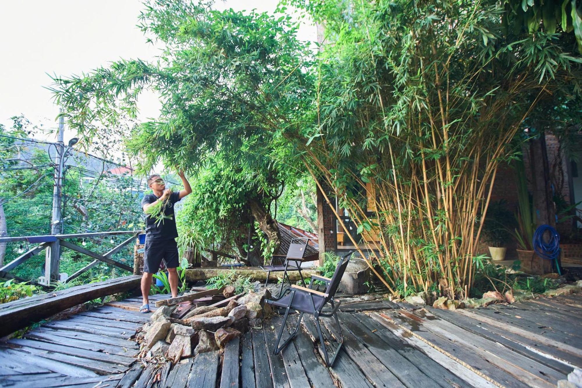 Homestay Eco May5 Travel ฮาลอง ภายนอก รูปภาพ